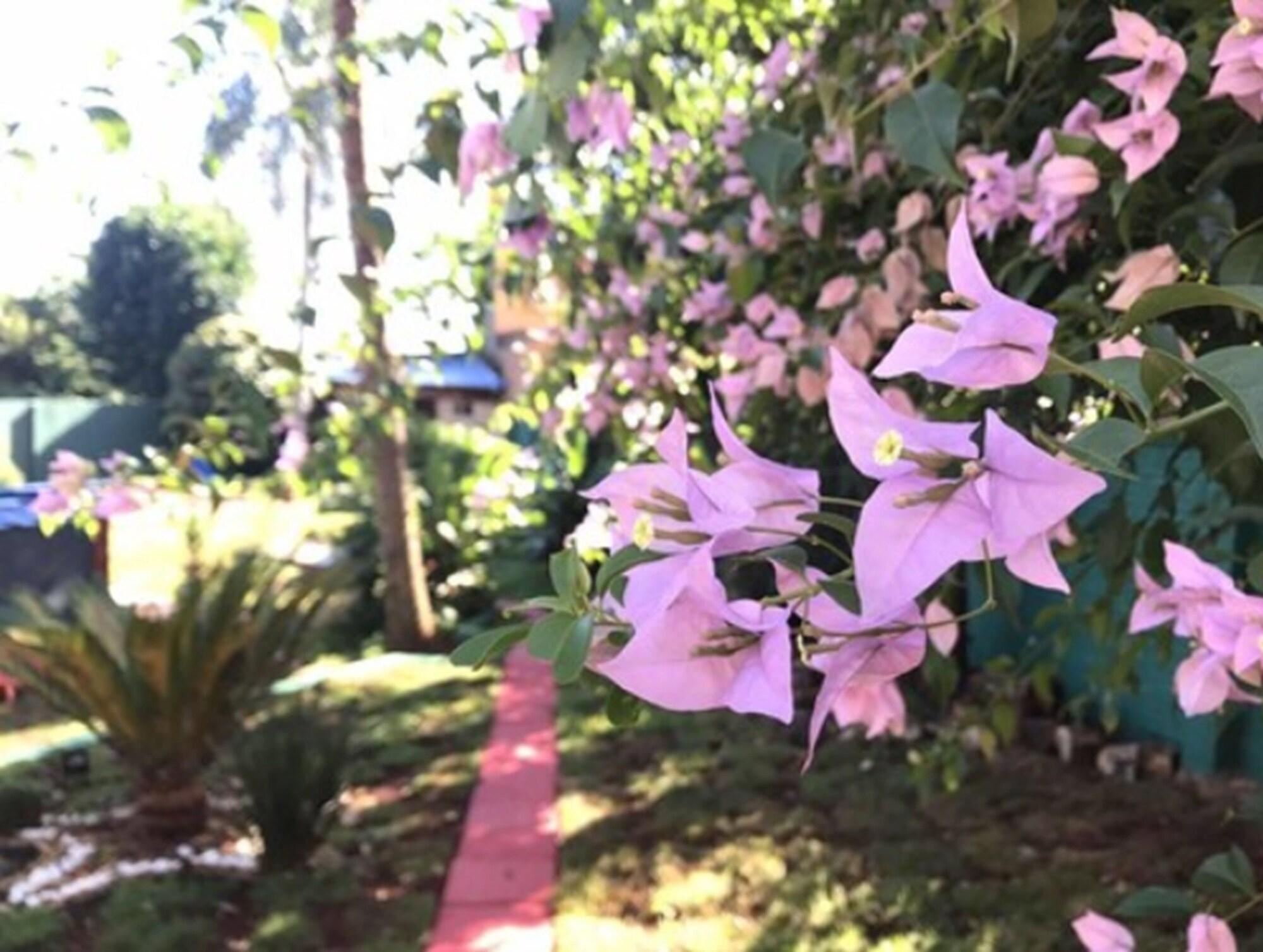 La Quinta By Wyndham Kingsville Luaran gambar